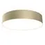 Maytoni Technical C032CL-L43MG3K Потолочный светодиодный светильник Zon