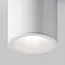 Maytoni Technical C029CL-01W Потолочный светильник Alfa, изображение 2