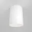 Maytoni Technical C014CL-01W Потолочный светильник Alfa, изображение 2