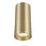 Maytoni Technical C010CL-01MG Потолочный светильник Focus
