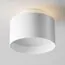 Maytoni Technical C009CW-L16W Потолочный светильник Planet, изображение 6