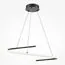 Maytoni Decorative MOD242PL-L33BK Люстра Curve, изображение 5
