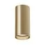 Maytoni Technical C010CL-01MG Потолочный светильник Focus, изображение 2