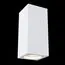 Maytoni Technical C006CW-01W Светильник потолочный Conik Gyps, изображение 2