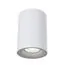 Maytoni Technical C012CL-01W Потолочный светильник Alfa