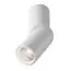 Maytoni Technical C027CL-L10W4K Спот светодиодный Dafne