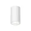 Maytoni Technical C003CW-01W-1 Светильник потолочный Conik Gyps