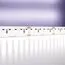 Maytoni Led Strip 10156 Светодиодная лента 20Вт/м 24V IP20 6000K 10156, изображение 2