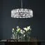 Maytoni Decorative MOD043PL-06CH Хрустальная люстра Puntes, изображение 5