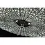 Maytoni Decorative DIA902-06-N Хрустальная люстра Broche, изображение 5
