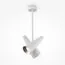Maytoni Decorative MOD095CL-02W Потолочный светильник Giro, изображение 3