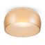 Maytoni Decorative MOD074PL-L16B3K Потолочный светодиодный светильник Solen, изображение 2