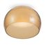 Maytoni Decorative MOD074CL-L13B3K Потолочный светодиодный светильник Solen, изображение 2