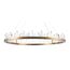 Maytoni Decorative H186-PL-01-61W-BS Подвесной светодиодный светильник Gletscher, изображение 4