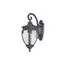 Maytoni Outdoor O414WL-01BZ Уличный настенный светильник Fleur, изображение 2