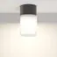 Maytoni Outdoor O418CL-01B Уличный потолочный светильник Willis, изображение 3