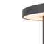 Maytoni Outdoor O420FL-L12GF Ландшафтный светодиодный светильник Wald, изображение 8