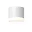 Maytoni Technical C087CL-GX53-W Светильник потолочный Pauline