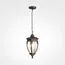 Maytoni Outdoor O414PL-01BZ Уличный подвесной светильник Fleur, изображение 3