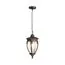 Maytoni Outdoor O414PL-01BZ Уличный подвесной светильник Fleur, изображение 2