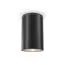 Maytoni Outdoor O307CL-01B Уличный потолочный светильник Roll