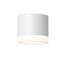 Maytoni Technical C087CL-GX53-W Светильник потолочный Pauline