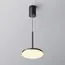 Maytoni Technical P076PL-L12W3K-B Светильник подвесной светодиодный Plato, изображение 3