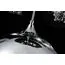 Maytoni Decorative P140-PL-170-5-N Подвесной светильник Fermi, изображение 4
