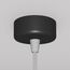 Maytoni Technical P038PL-01B Подвесной светильник Focus Design, изображение 5