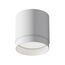 Maytoni Technical C088CL-GX53-W Светильник потолочный Polar, изображение 2