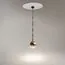 Maytoni Decorative MOD227PL-01B1 Светильник подвесной Ros, изображение 6