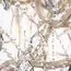 Maytoni Decorative DIA881-PL-56-G Хрустальная люстра Doris, изображение 6