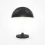 Maytoni Decorative Z012TL-L8B3K Настольная светодиодная лампа Ray, изображение 3