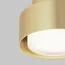 Maytoni Technical C092CL-GX53-MG Потолочный светильник Space, изображение 4