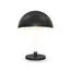 Maytoni Decorative Z012TL-L8B3K Настольная светодиодная лампа Ray, изображение 2