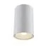 Maytoni Technical C033WL-01W Светильник потолочный Sonas