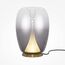 Maytoni Decorative MOD282TL-L15G3K Настольная лампа Splash
