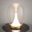 Maytoni Decorative MOD282TL-L15G3K1 Настольная лампа Splash, изображение 5