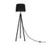 Maytoni Decorative Z177FL-01B Торшер Calvin
