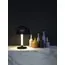 Maytoni Decorative Z012TL-L8B3K Настольная светодиодная лампа Ray, изображение 8