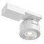 Maytoni Technical C062CL-L12W3K Спот Treo, изображение 3