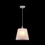 Maytoni Decorative P528PL-01W Подвесной светильник Walter, изображение 6