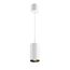 Maytoni Technical P100PL-20W3K-W Светильник подвесной светодиодный Vol