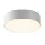 Maytoni Outdoor O431CL-L30W3K Уличный потолочный светодиодный светильник Zon IP