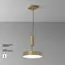 Maytoni Technical C032CL-36W4K-RD-MG Светильник потолочный светодиодный Zon, изображение 8