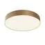 Maytoni Technical C032CL-45W4K-RD-MG Светильник потолочный светодиодный Zon