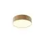 Maytoni Technical C032CL-24W3K-RD-MG Светильник потолочный светодиодный Zon