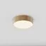 Maytoni Technical C032CL-24W4K-RD-MG Светильник потолочный светодиодный Zon, изображение 3