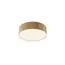 Maytoni Technical C032CL-24W4K-RD-MG Светильник потолочный светодиодный Zon