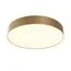 Maytoni Technical C032CL-45W3K-RD-MG Потолочный светильник Zon